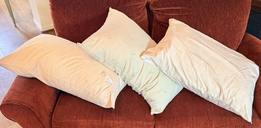 3 Queens/King Size Feathers Bed Pillows