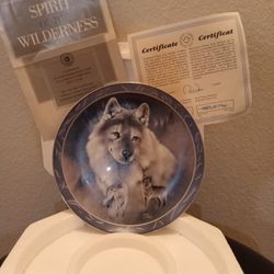 "Silver Scout" Limited Edition, 1994, Bradford Exchange, " Spirit Of The Wilderness Collection, See Description 