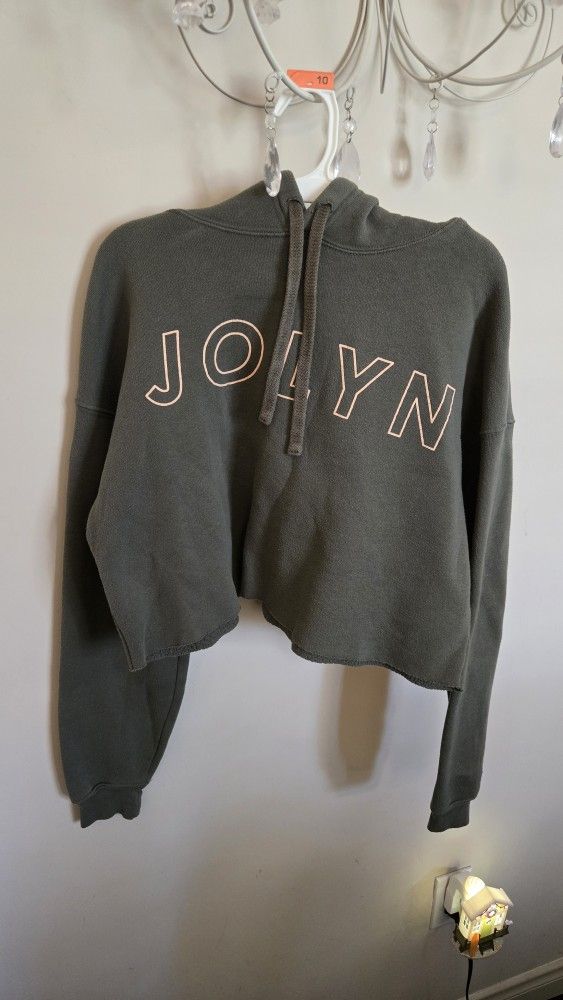 Jolyn Cropped Top Hoodie