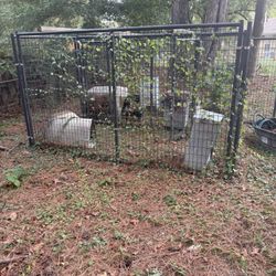 10x10 Kennel
