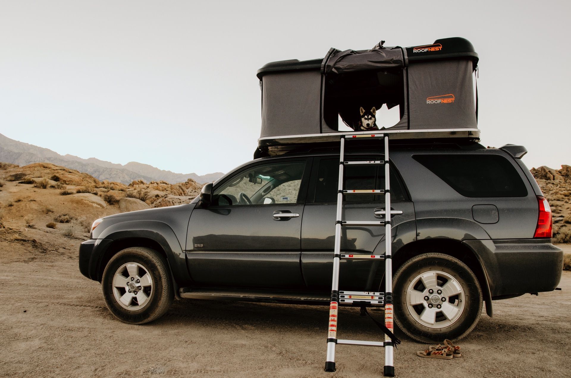 Roofnest rooftop tent camper