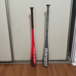 Bats USA
