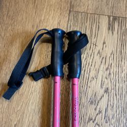 Salomon Ski Poles 90cm 36”