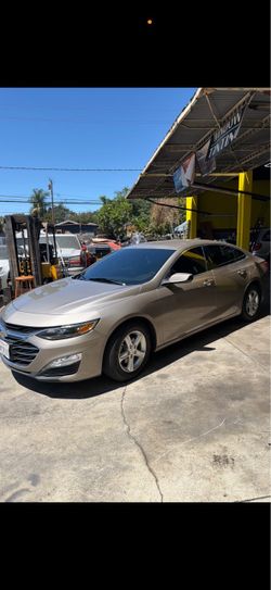 Window Film Tint Automotive