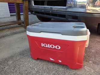 Igloo Cooler