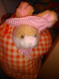 Rabbit house purse includes more rabbits clothes