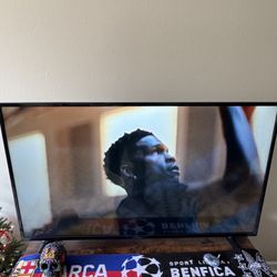 50 Inch Insignia TV