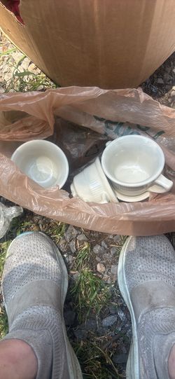 Cups
