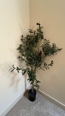 Beautiful faux olive plant