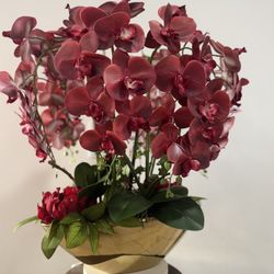 Beautiful Red Orchid Arrangement 