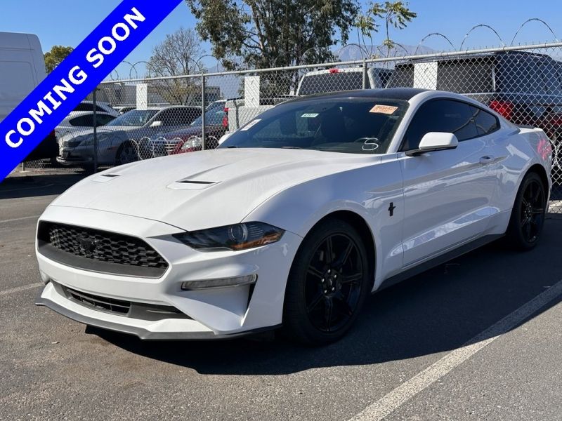2019 Ford Mustang
