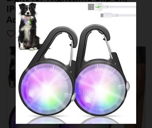 Illuminate Your Night Walks with the WONDog Collar Light! 