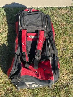 Diamond Catchers Gear Bag and Full Catchers Gear