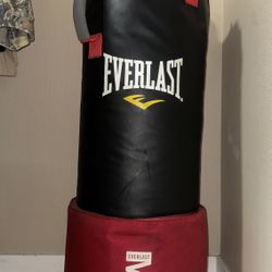 Everlast 80lb MMA Punching/Heavy Bag