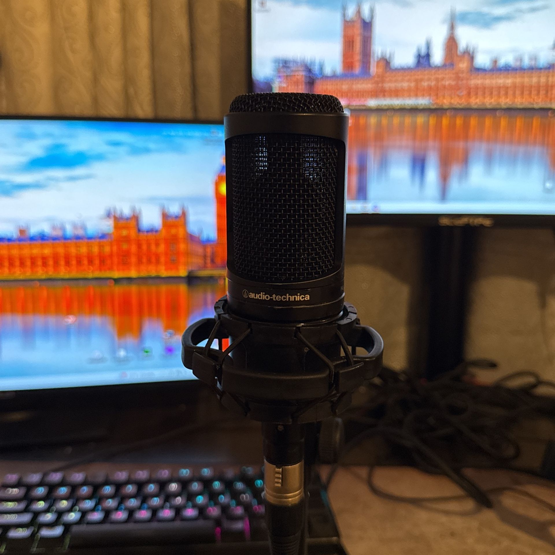 Studio Microphone At2020