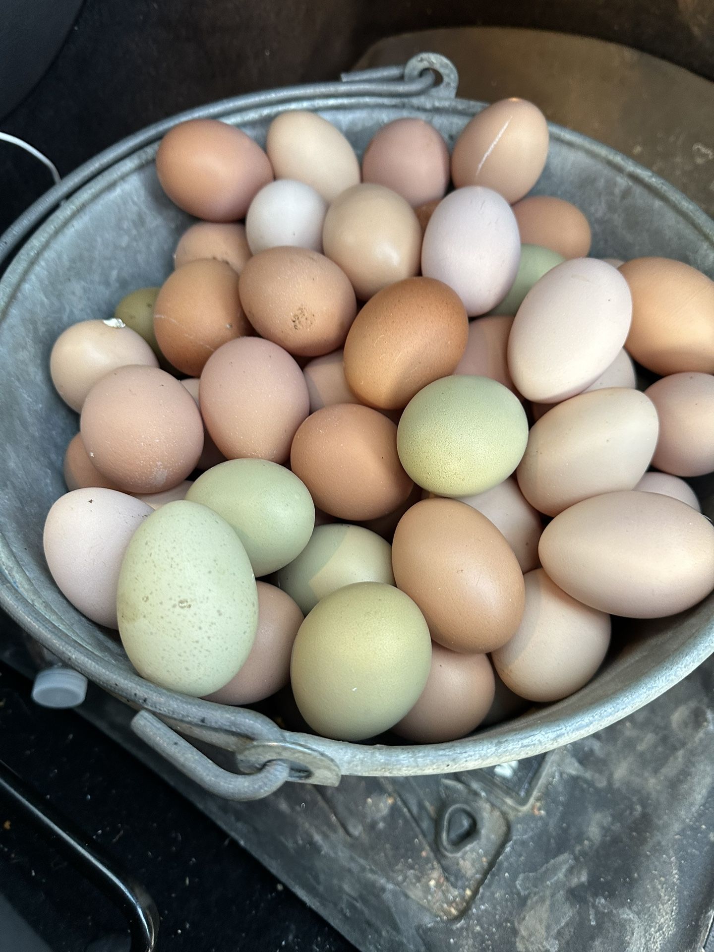 Fresh Farm Eggs!!! 🥚 🥚🥚
