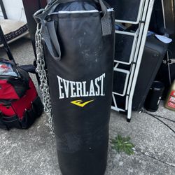 Everlast Punching Bag