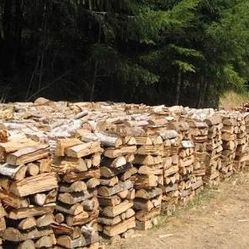 Seasoned Firewood 