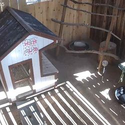 Small Size Chicken Coop