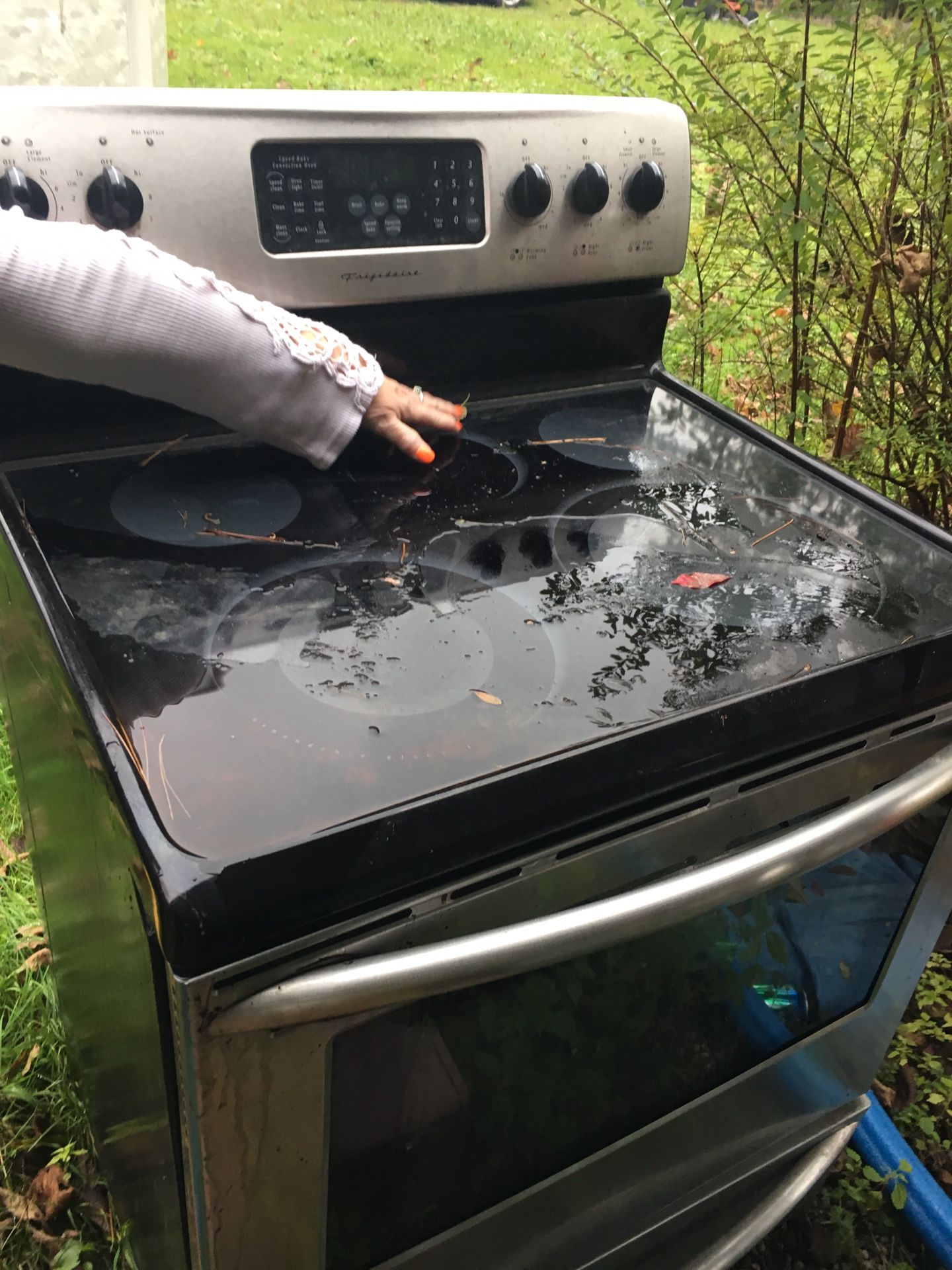Convection self cleaning oven