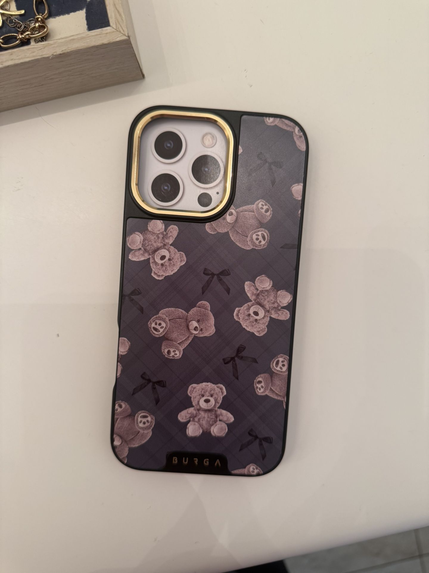 Burga Case
