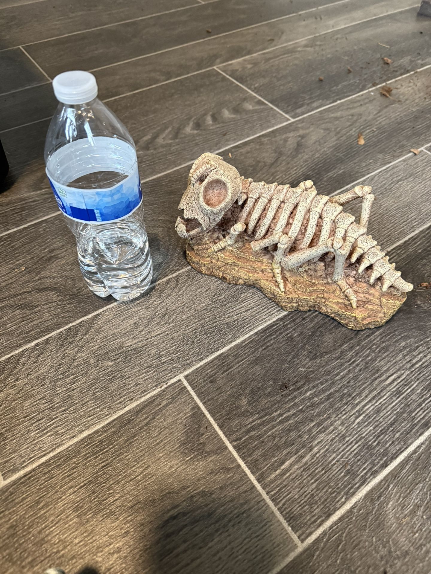 Reptile Decoration
