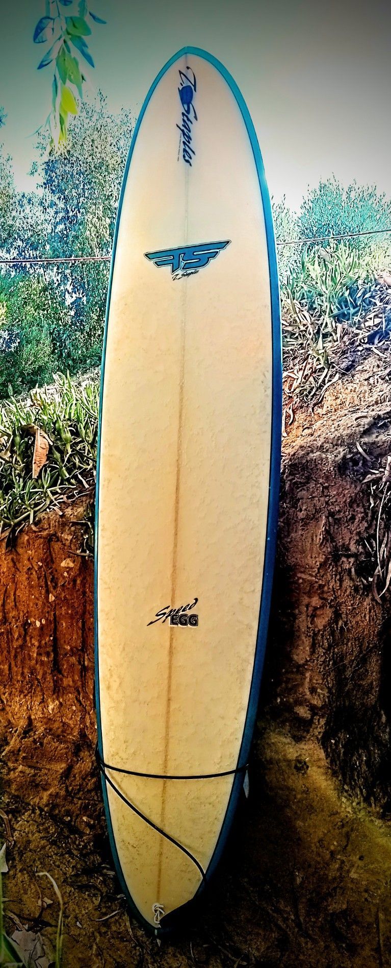 Speed Egg Surfboard 8' by Tony Staples