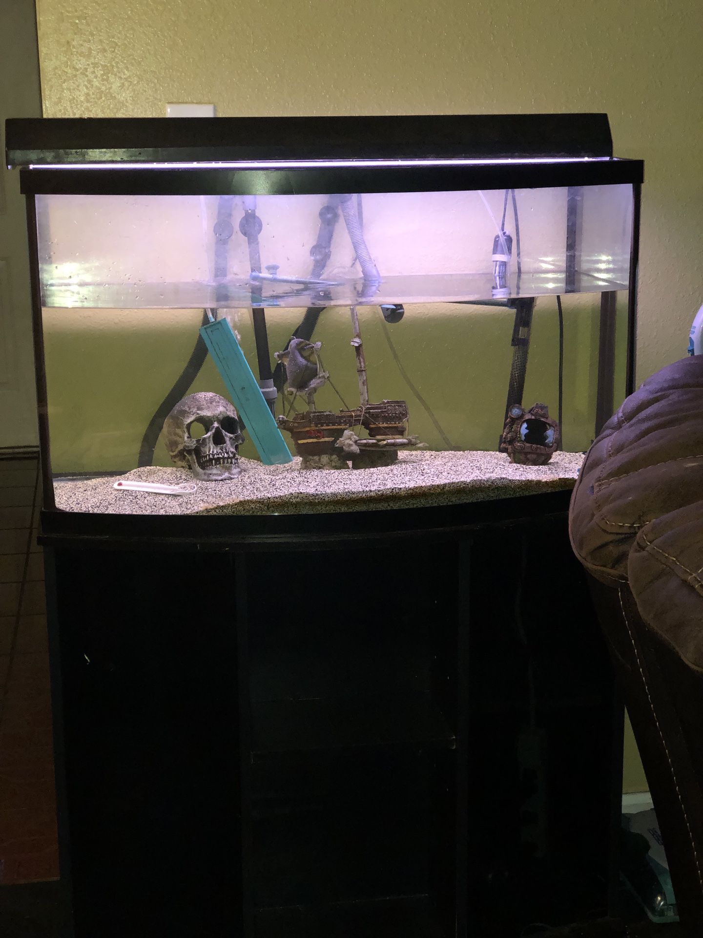 55 gallon bowed front fish tank