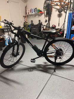 Adult e-bike