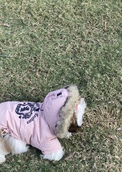 Juicy Couture Dog Jacket