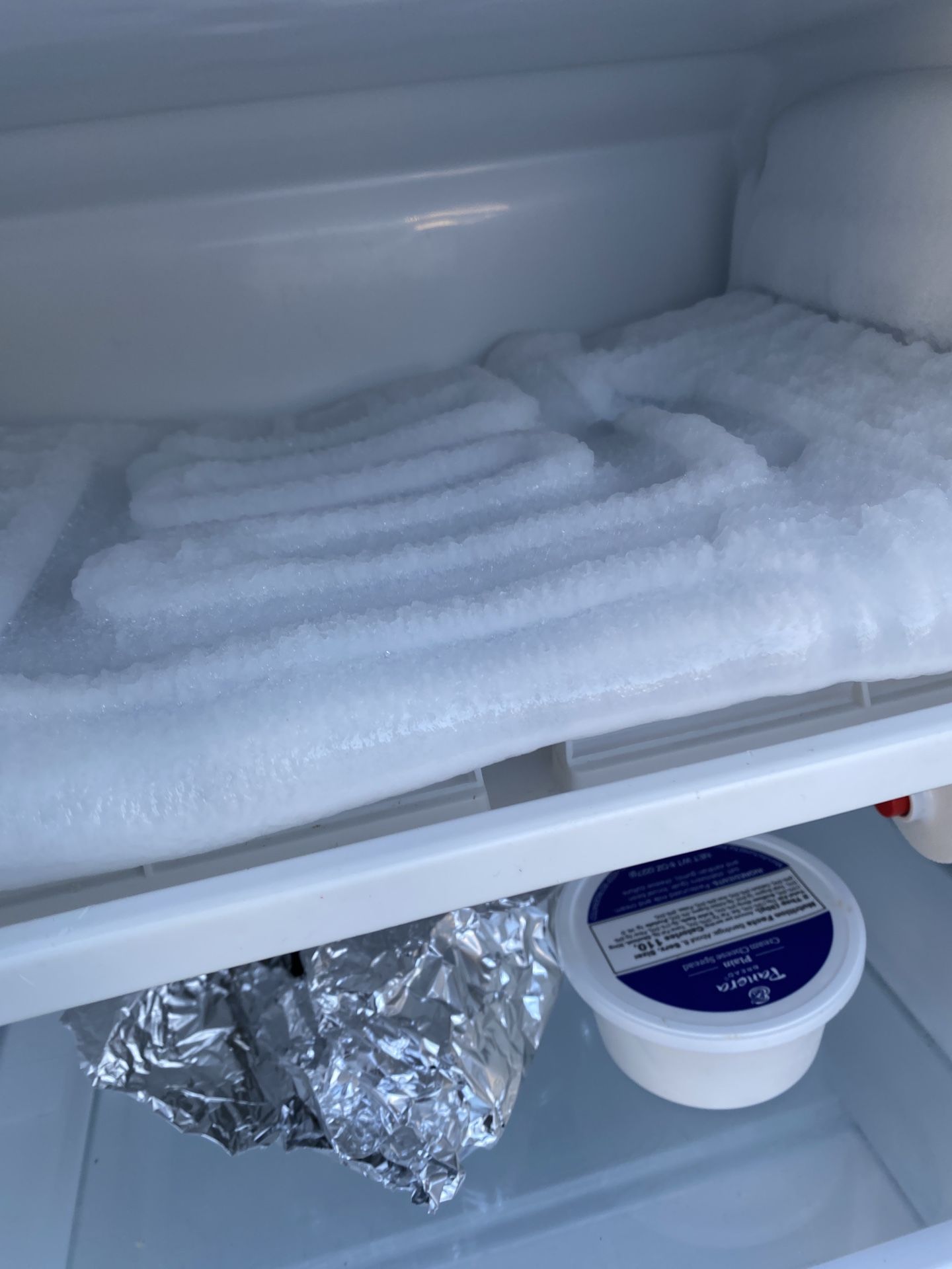Mini Fridge