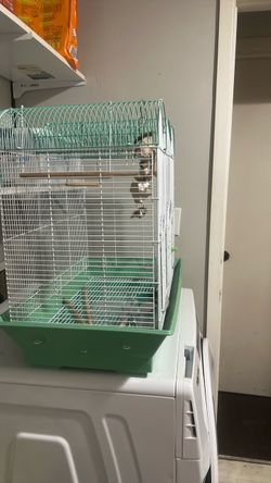 Green Bird Cage with Perches