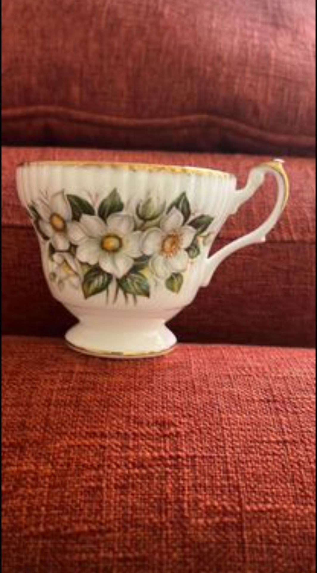 Vintage QUEEN'S Bone China Rosina Set Special Flowers December Rose