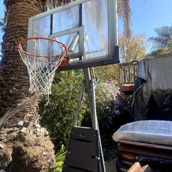 Basketball Hoop Adjustable Height (Reebok)