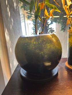 Walstad shrimp tanks