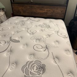 Full Bed Frame W/ Mattress