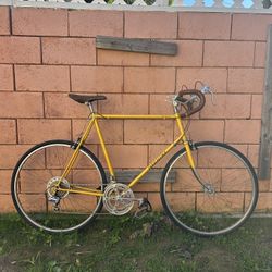 Vintage road bike