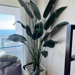 Beautiful artificial Bird of Paradise plant in a white planter - Retail: $799