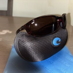 Costa Brine Tortoise 580p