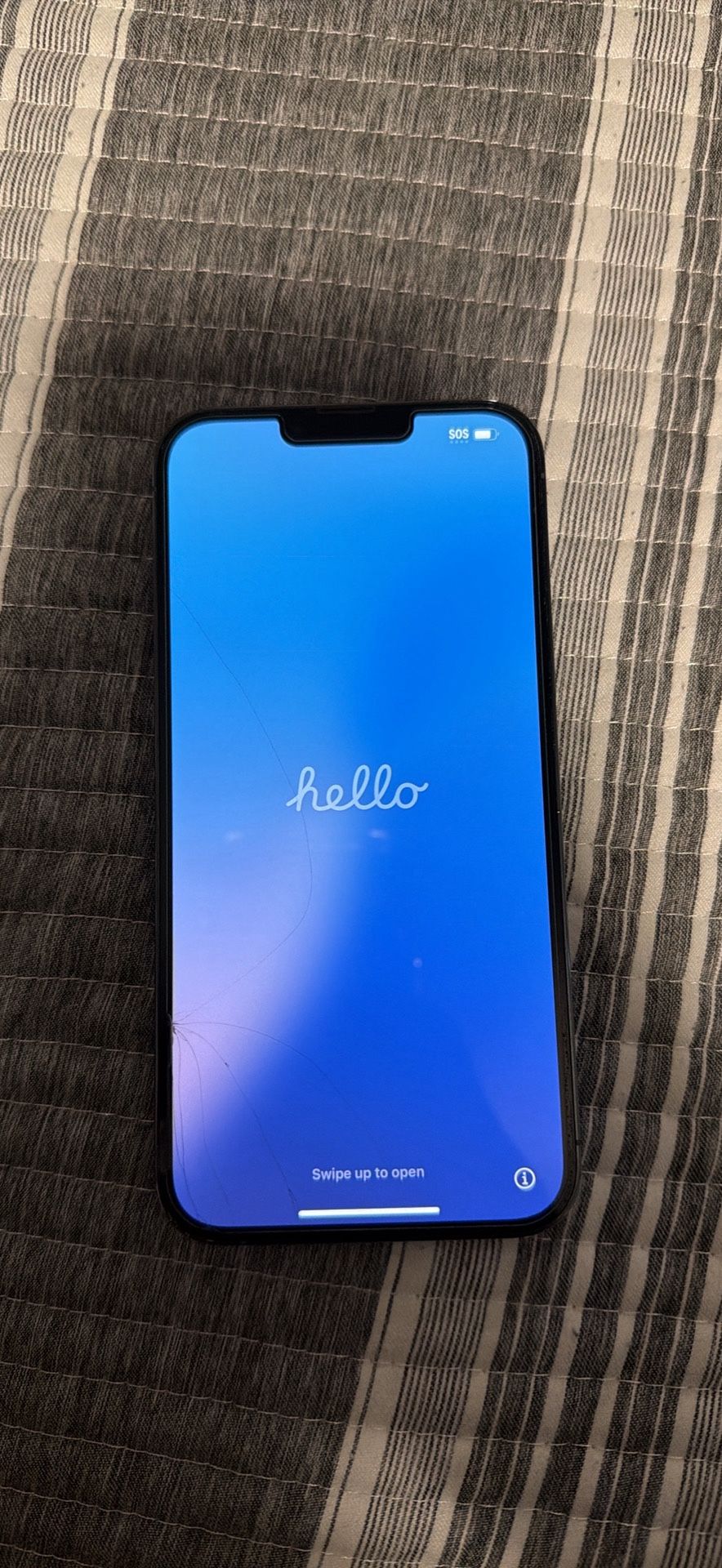 iPhone 13 Pro Max