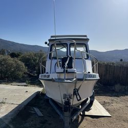 2006 C-hawk 222
