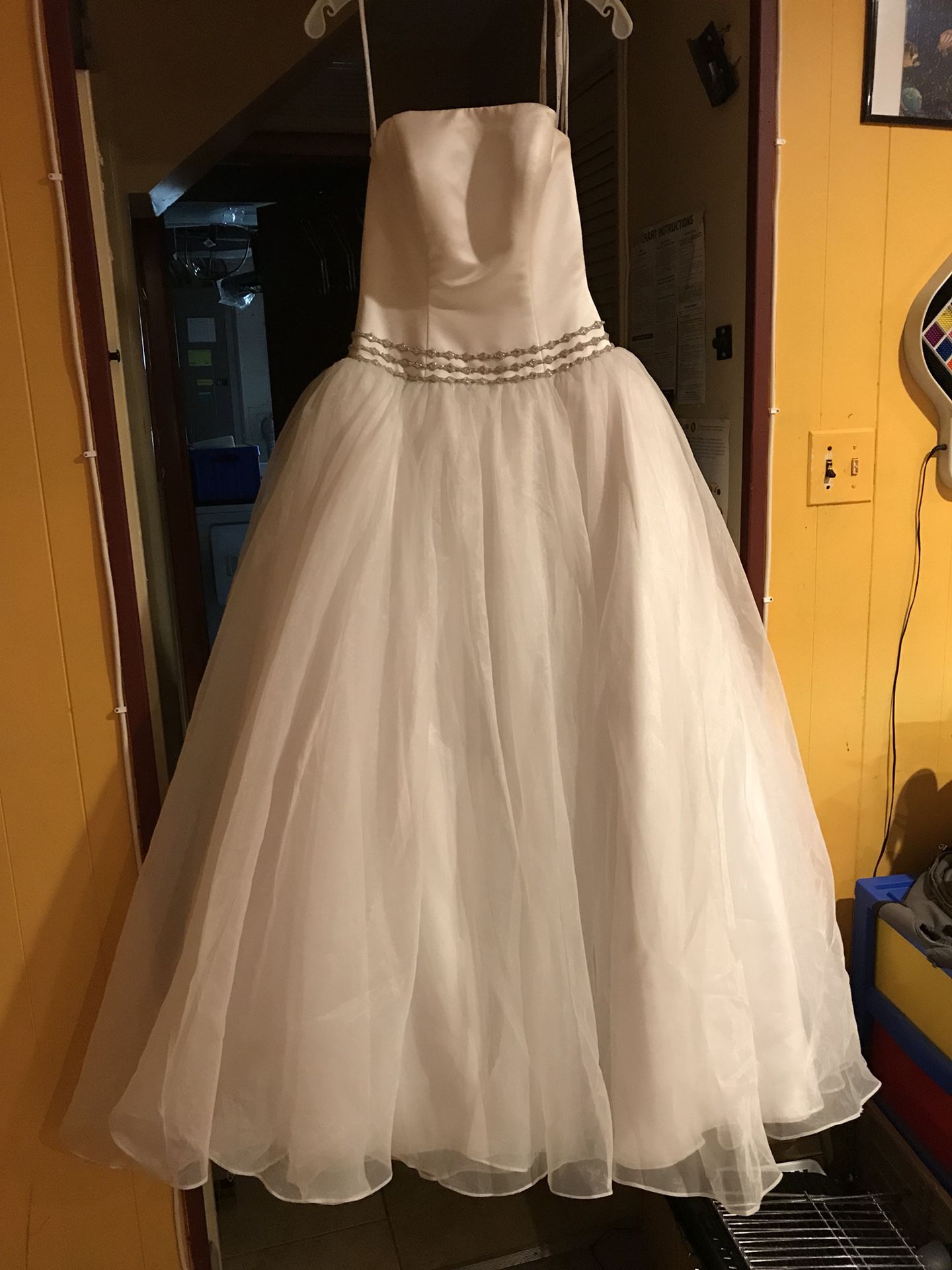 Wedding gown/Dress & Wesson Veil
