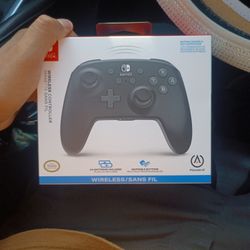 Nintendo Switch Wireless Remote 