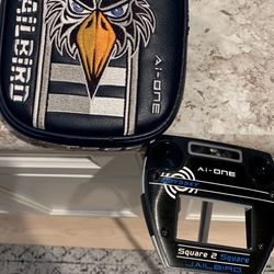 Odyssey Jailbird Ai-one