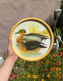 Vintage smuckers of strawberry lane tin serving tray with green winged teal ducks