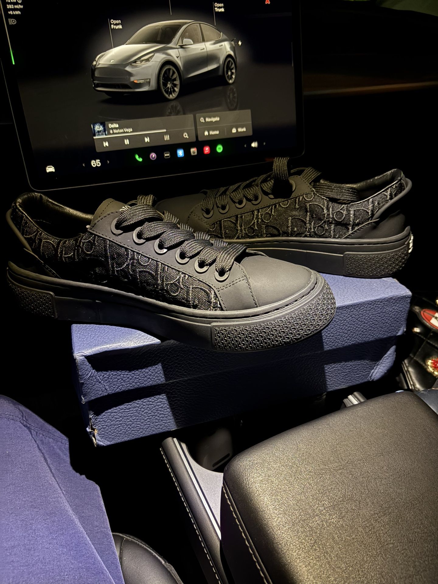 Dior b33