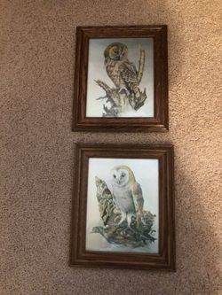 Owl foil print vintage Audrey North