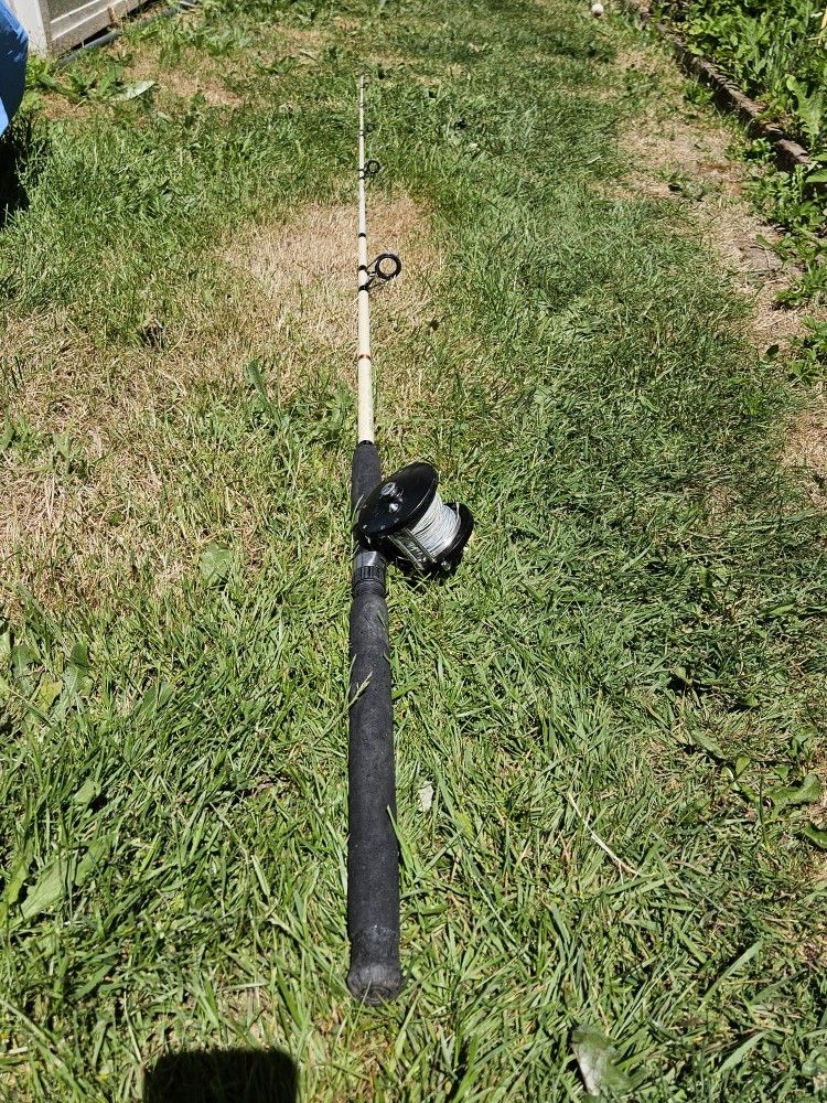 Fishing rod and reel. $30