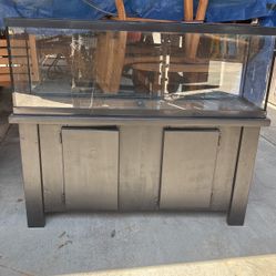 40 Gallon Aquarium 