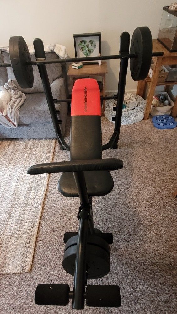 Weight Bench